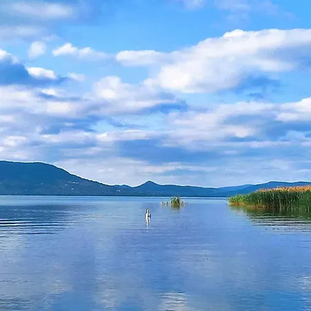 Vakantiehuis Unit_type_semidetached_house 55121 Balatonfenyves